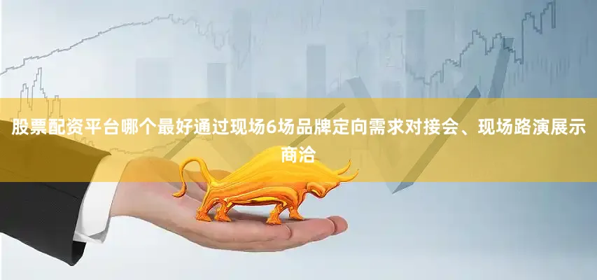 股票配资平台哪个最好通过现场6场品牌定向需求对接会、现场路演展示商洽